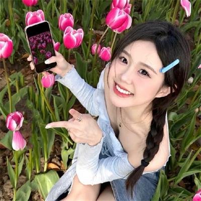 安妮日记封面